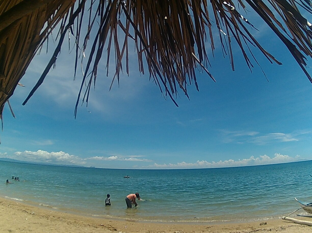 Malatandang Beach景点图片