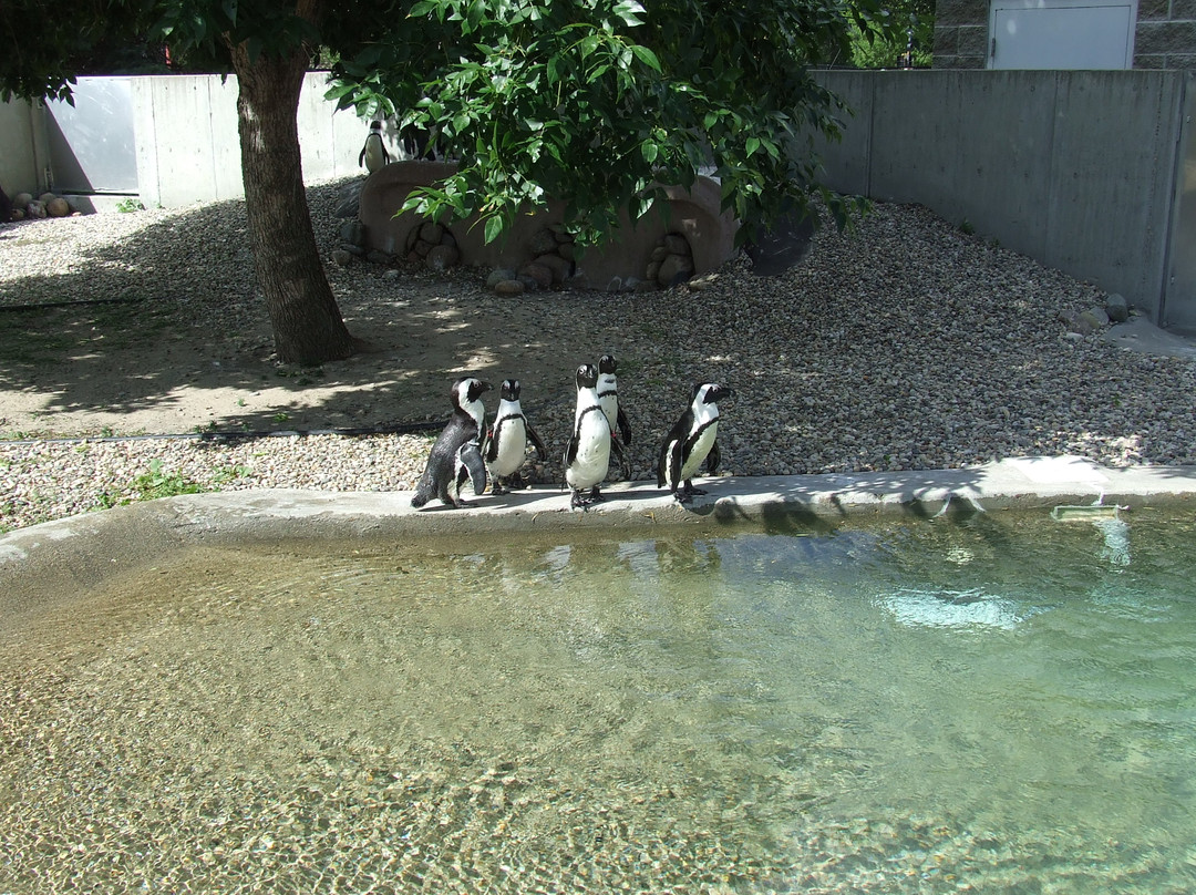 Roosevelt Park Zoo