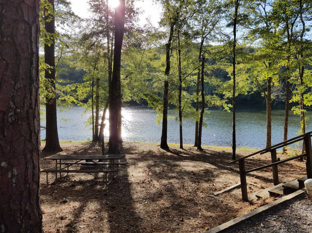 Lake Lurleen State Park景点图片