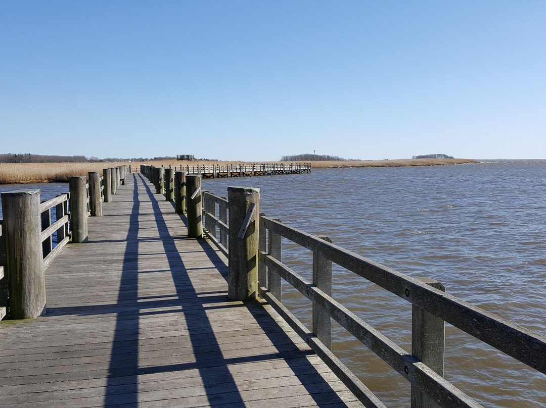 Old Lyme旅游攻略图片