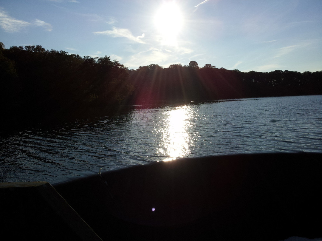 Felton旅游攻略图片