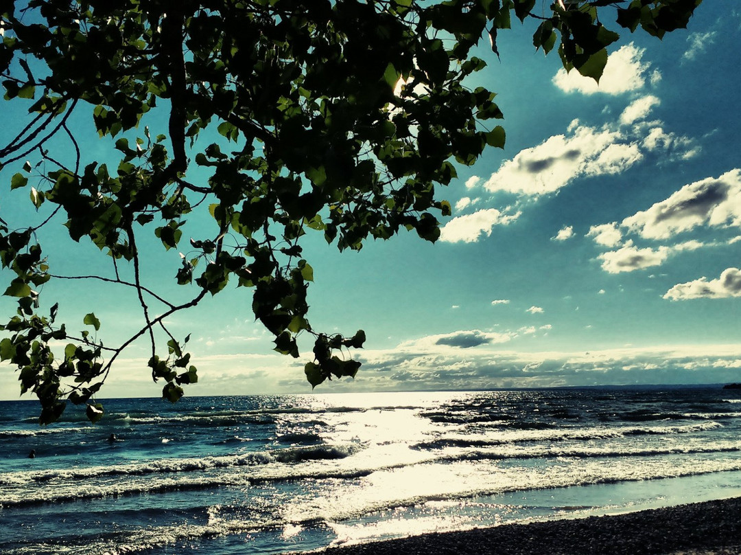 North Beach Provincial Park景点图片