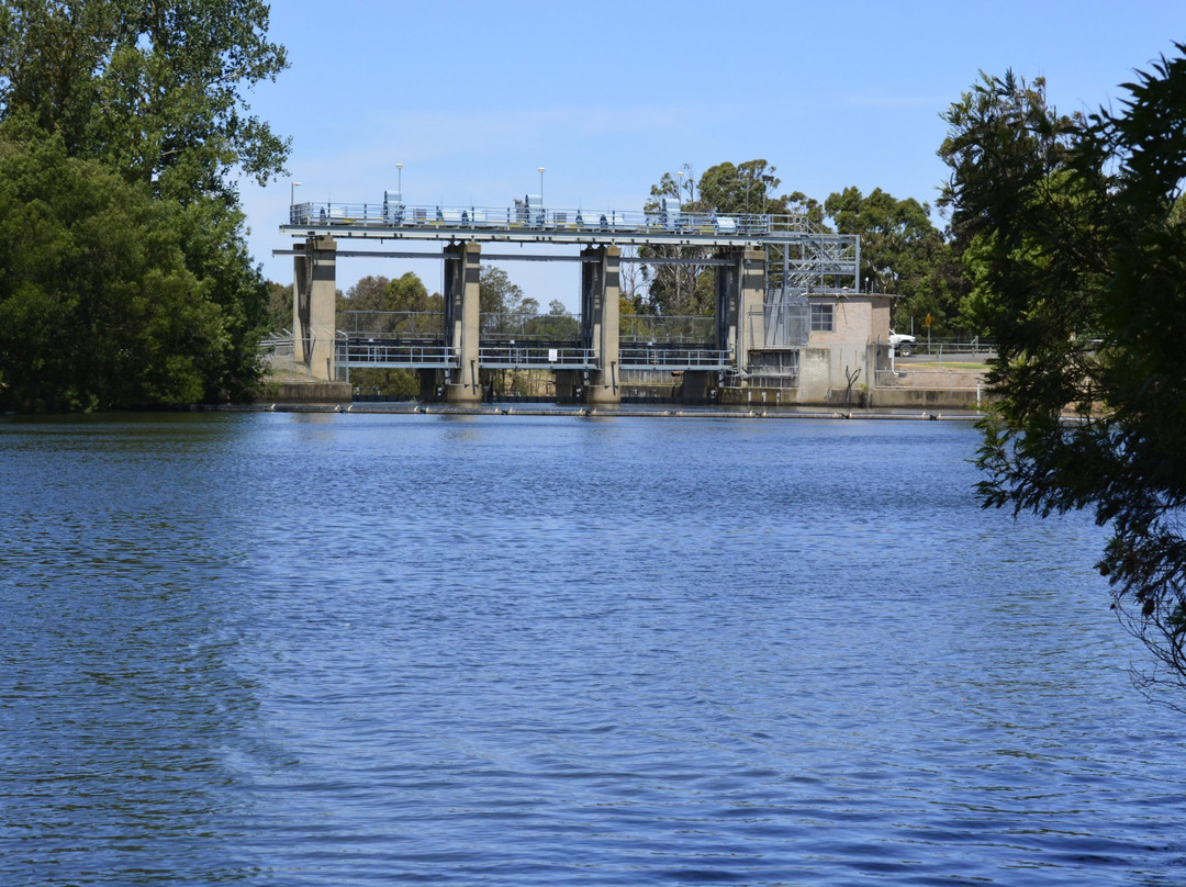 Cowwarr旅游攻略图片