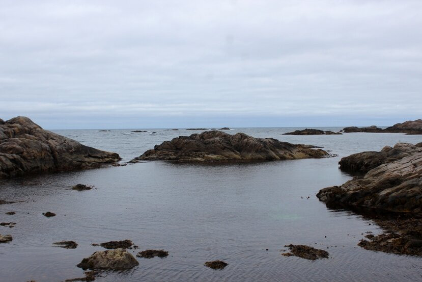 Stø Havn景点图片