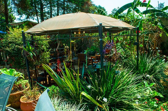 Umbrella Gastronomia & Eventos