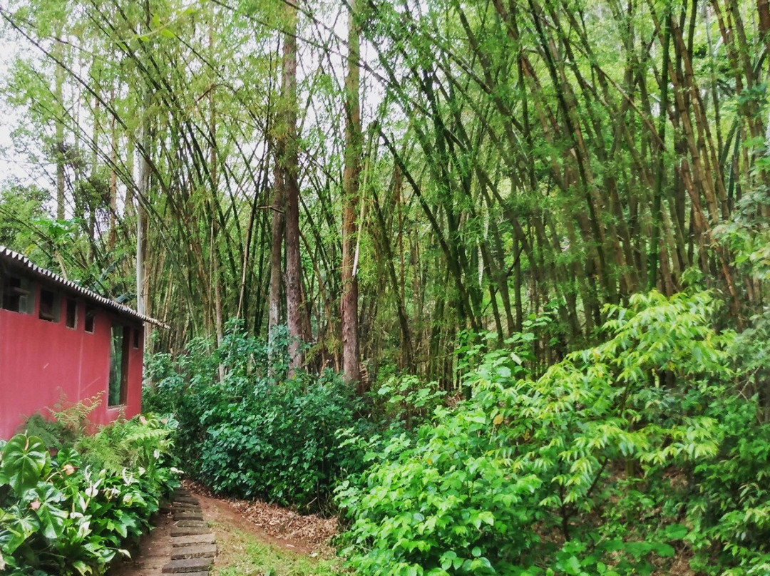 Pousada Recanto Lisieux主图