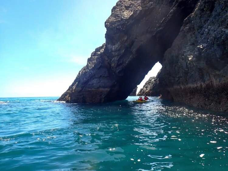Cable Bay Kayaks-尼尔森必去景点