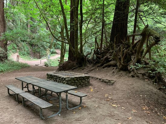 Forest of Nisene Marks State Park-阿普托斯必去景点