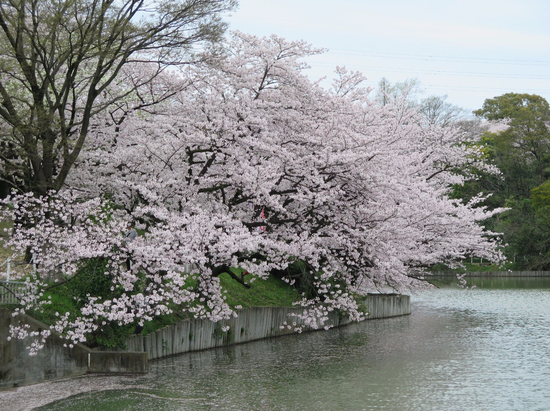 Oike Park景点图片