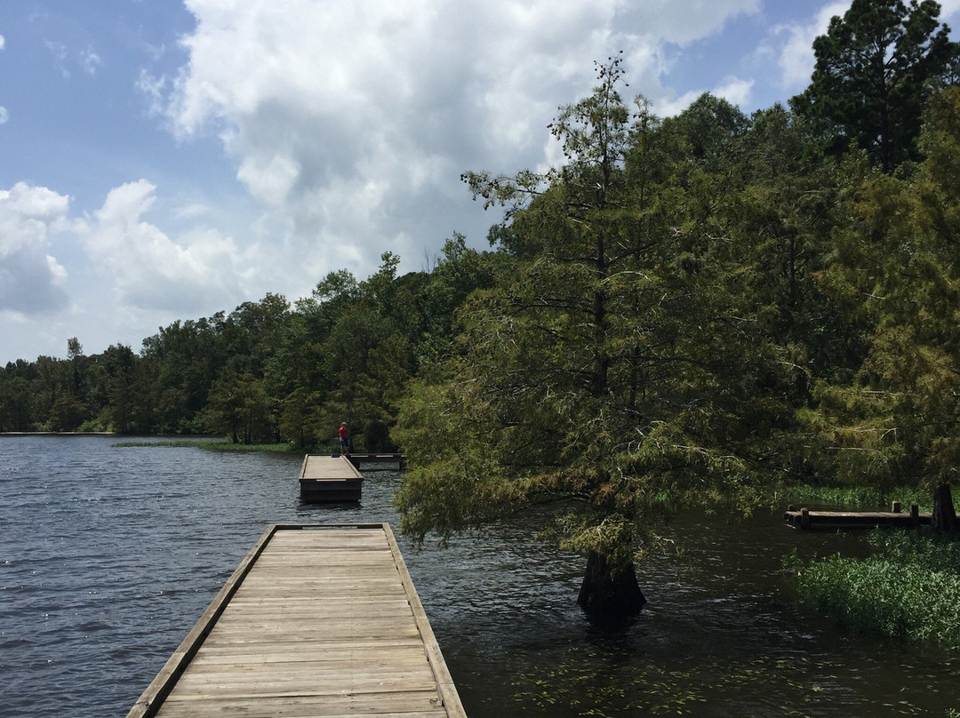 Lake D'Arbonne Louisiana State Park景点图片