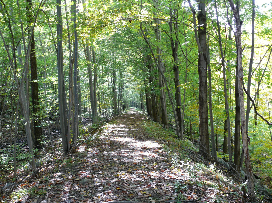 Landing旅游攻略图片