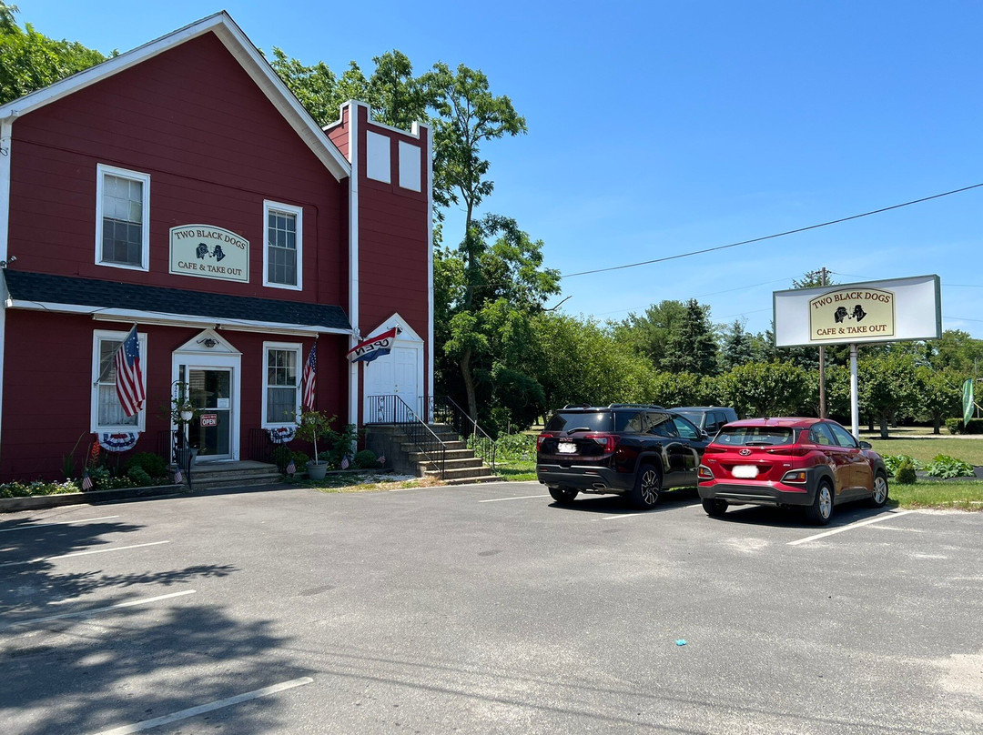 Two Black Dogs, Green Creek, Nj
