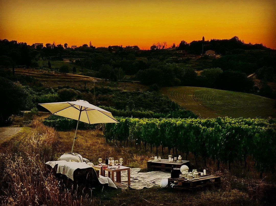 L'Agona Vini