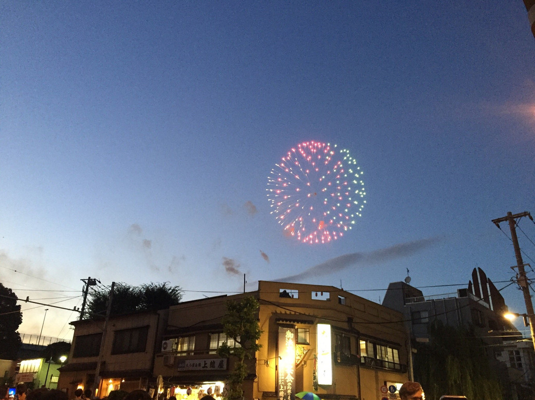 隅田川花火大会景点图片