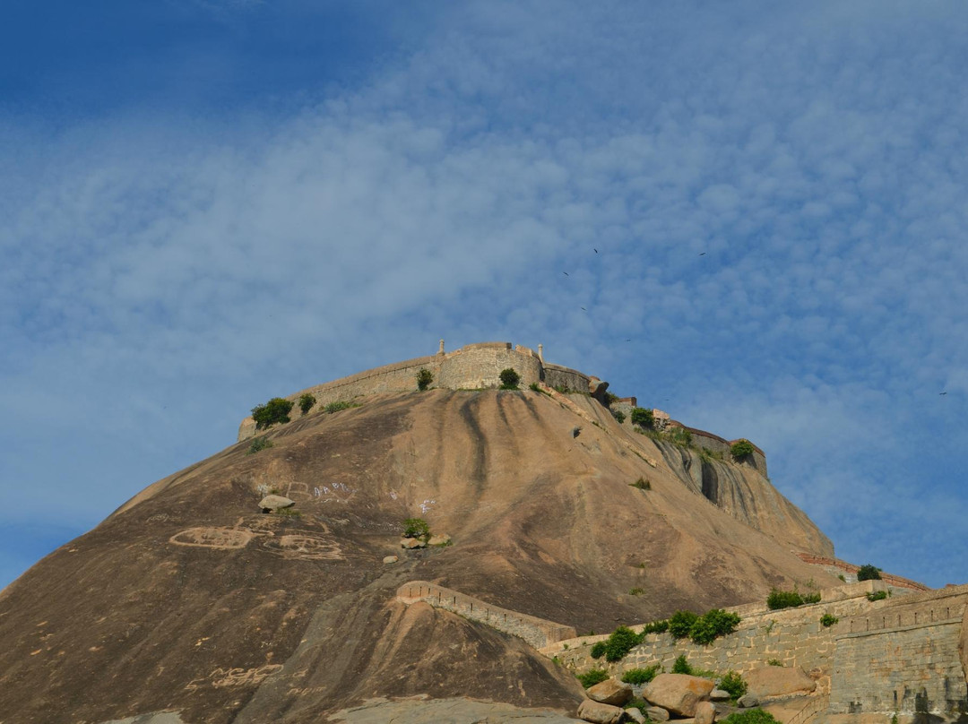 Madhugiri Fort景点图片