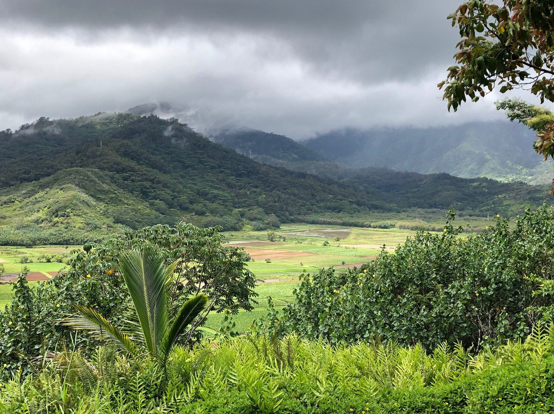 Hanalei National Wildlife Refuge-哈纳雷伊必去景点