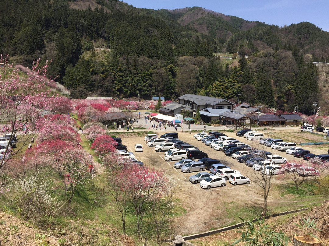 Sonohara Village景点图片