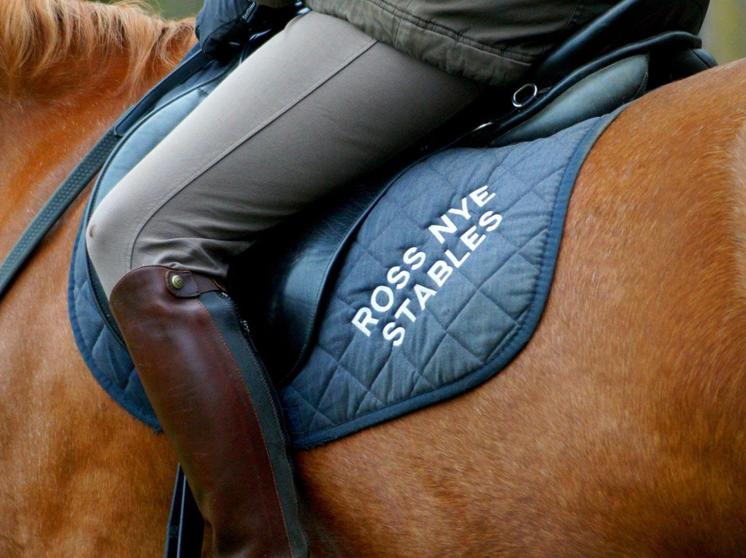 Ross Nye Stables-伦敦必去景点