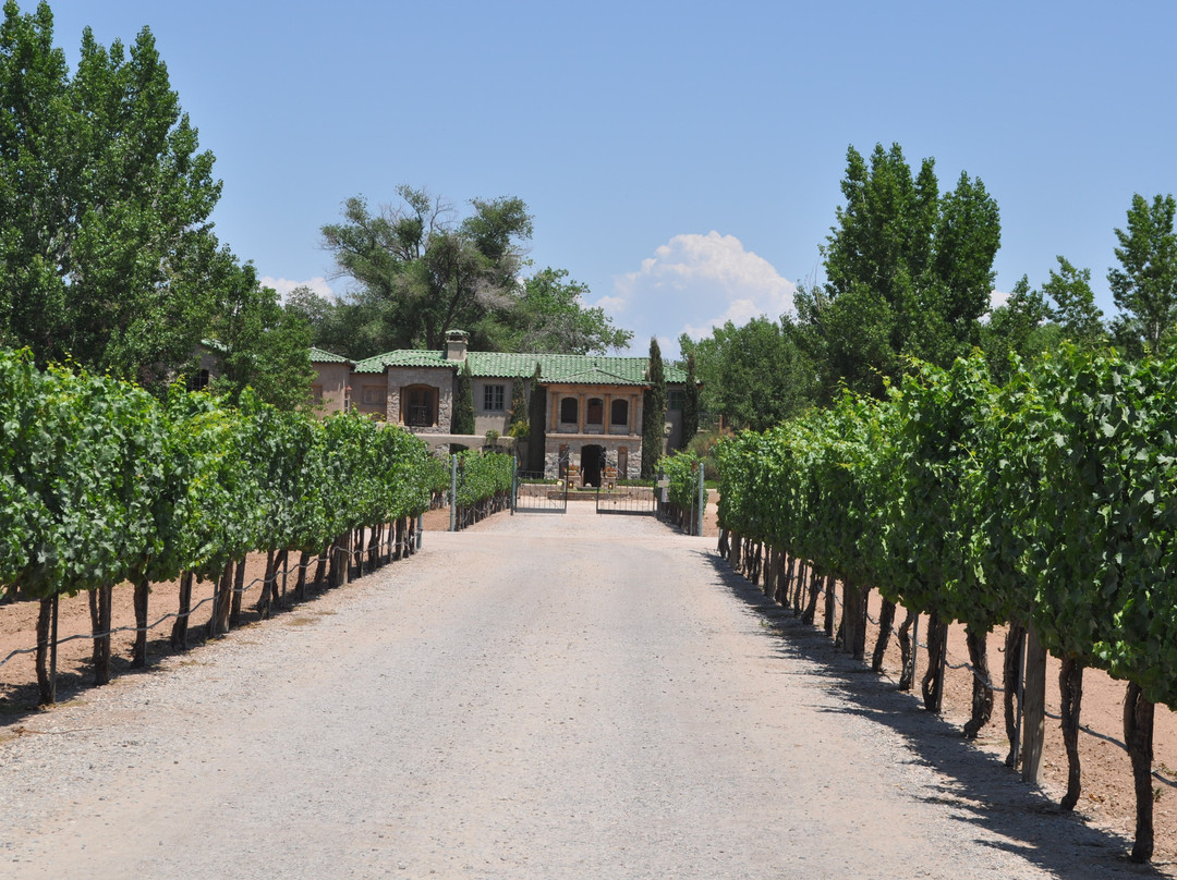 Casa Rondena Winery景点图片