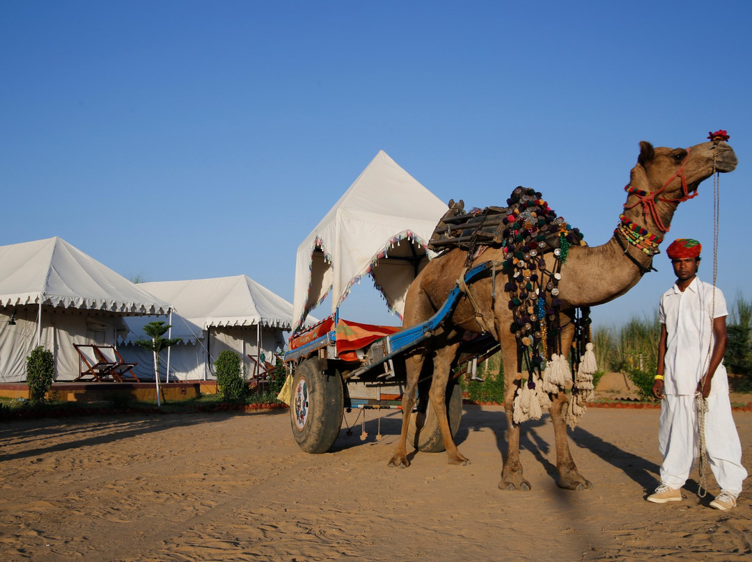 Pushkar Camel Safari-普希卡必去景点