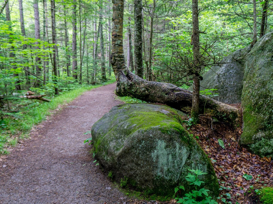 Moose Cave Gorge景点图片