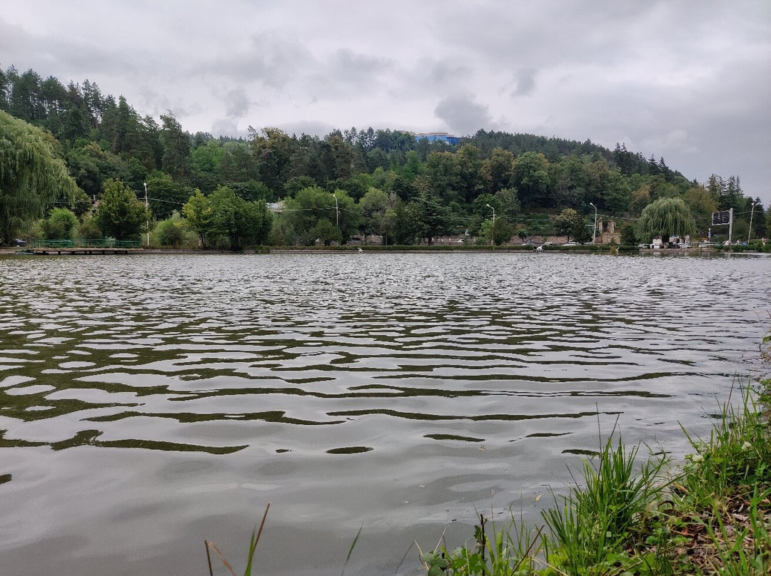 Dilijan City Park景点图片