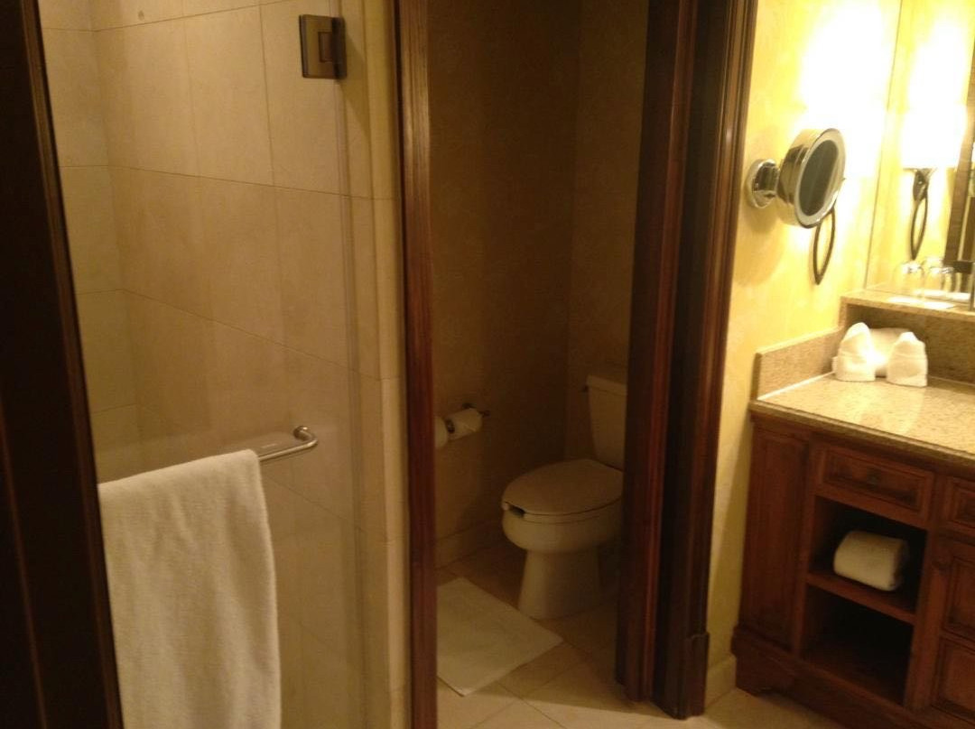 雷诺兹普兰泰申丽思卡尔顿小屋酒店主图