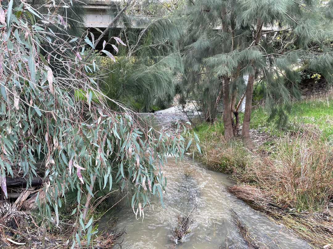 Lion's Park景点图片