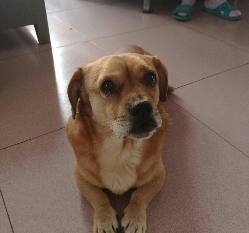 Amethyst Manor Winery