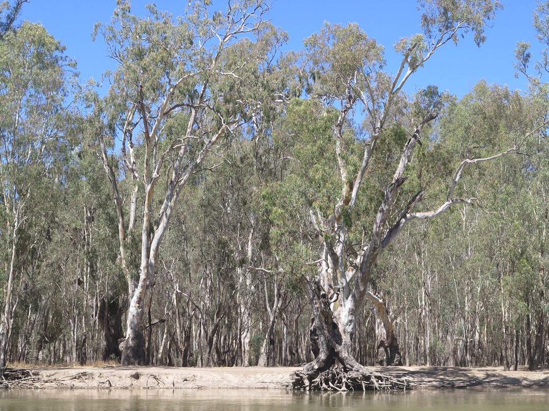 Kingfisher Cruises-Barmah必去景点