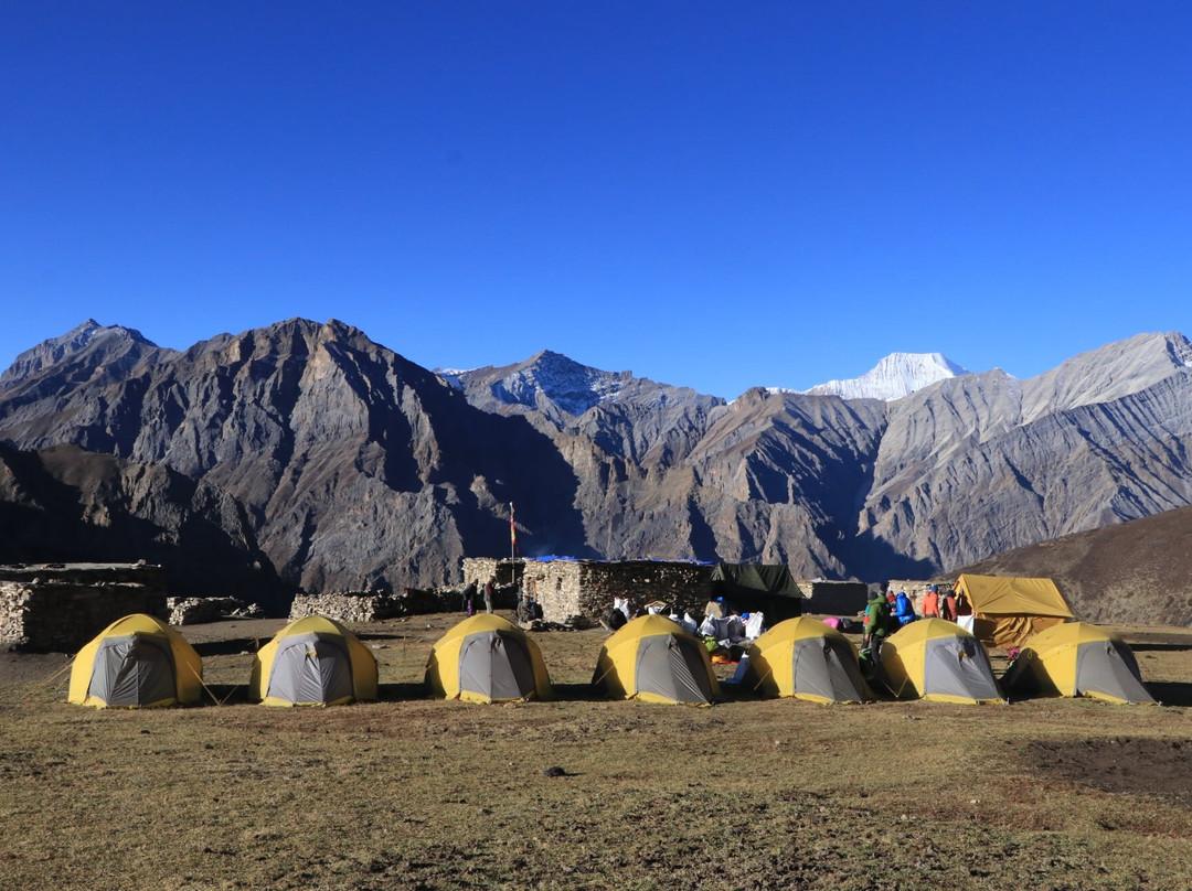 Alpine Sherpa Guide Treks & Expedition Pvt.Ltd-Juphal必去景点