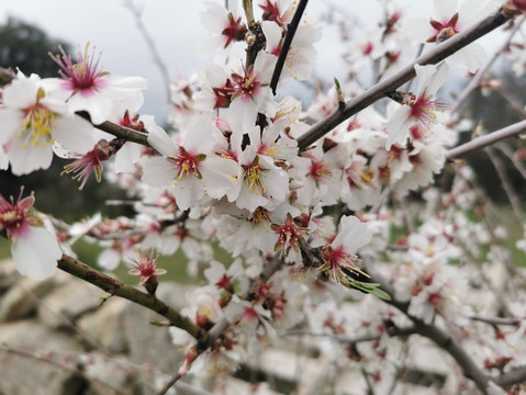 Calzada Romana-Galapagar必去景点