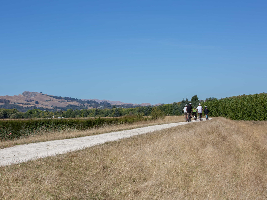 Coastal Wine Cycles景点图片