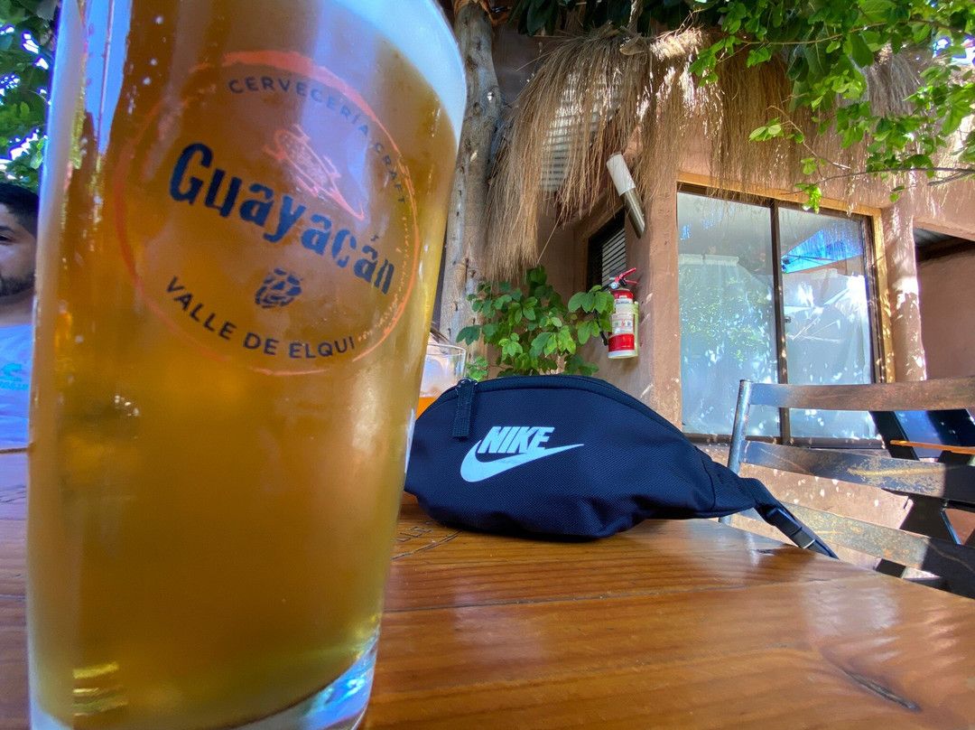 Guayacán Craft Brewery-Vicuna必去景点