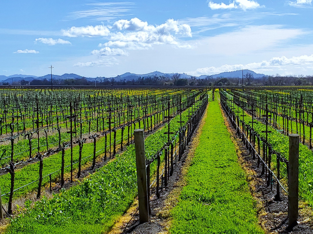 Delorimier Winery Vineyard Farmstay主图