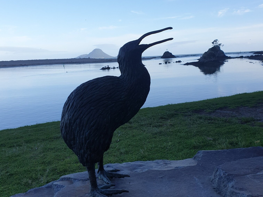 Whakatane River Walk景点图片