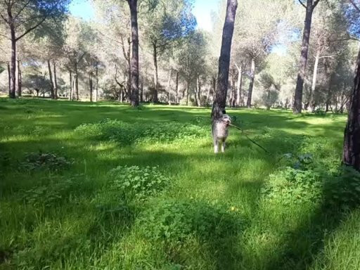 Parque Periurbano de La Corchuela-Dos Hermanas必去景点