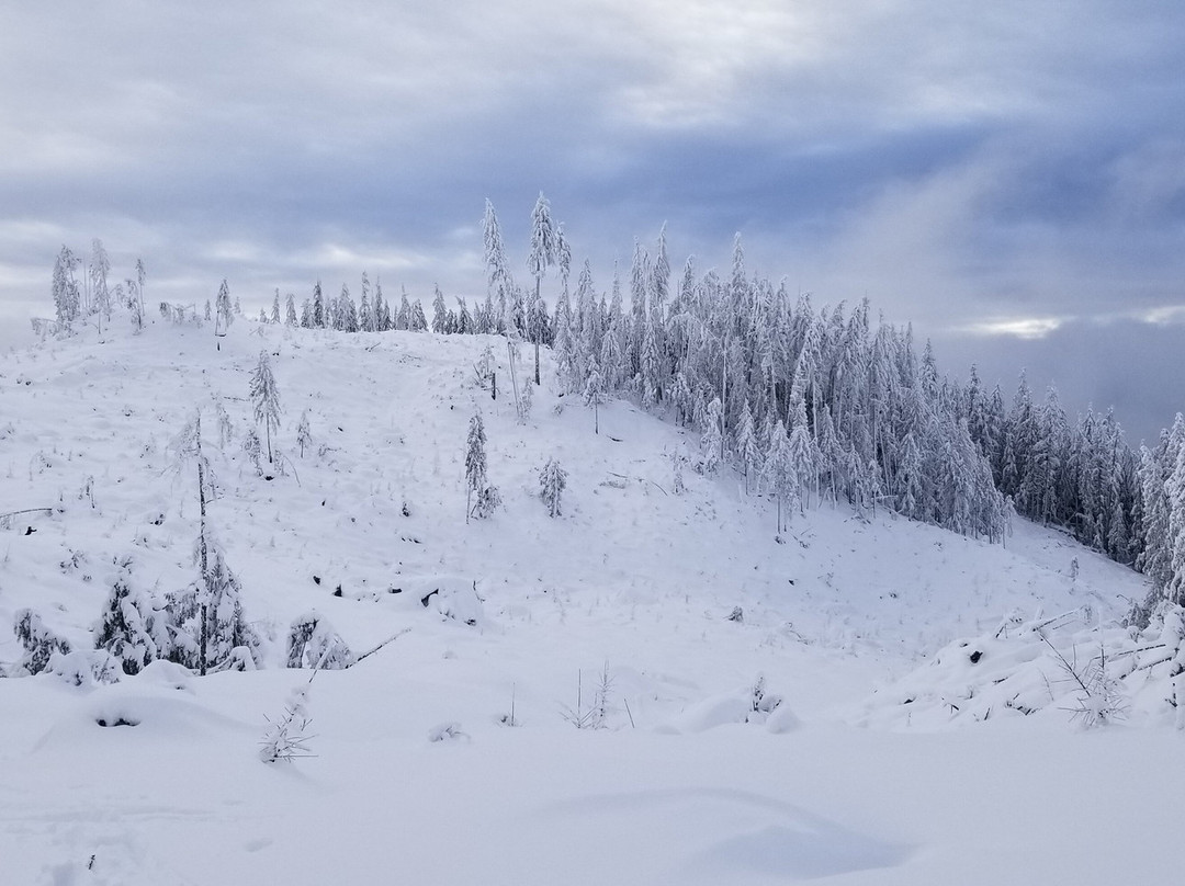 Larch Hills Cross Country Ski Area景点图片