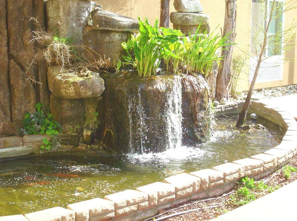 雷德布拉夫希尔顿恒庭旅馆&套房酒店主图