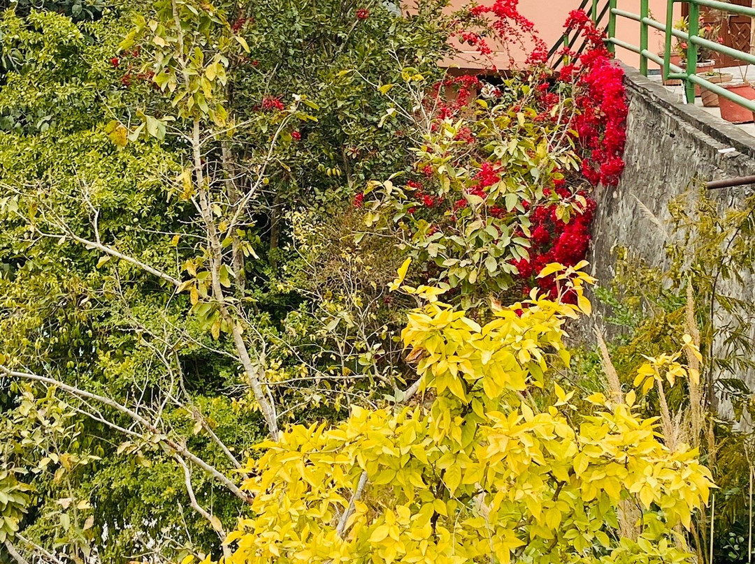 Ramkund Resort主图