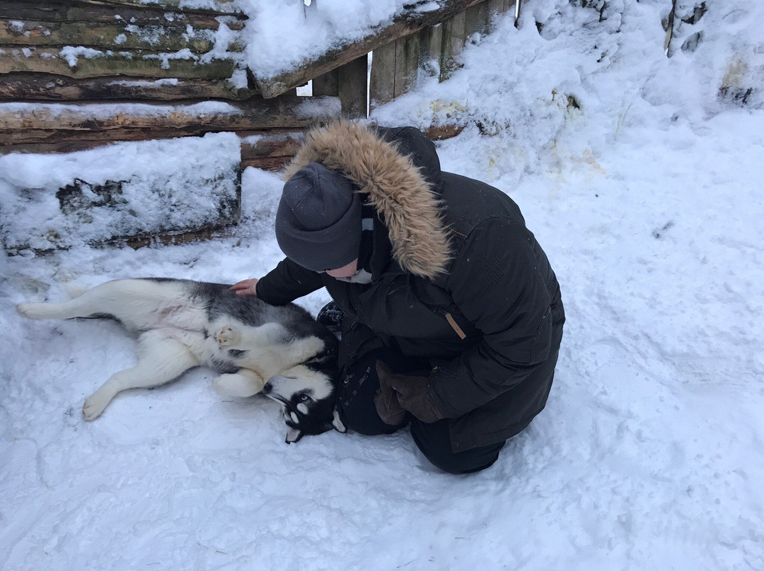 Husky Farm Ulybka Alyaski景点图片