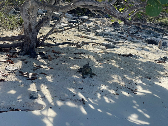 Turks Aqua Adventures-格雷斯湾必去景点