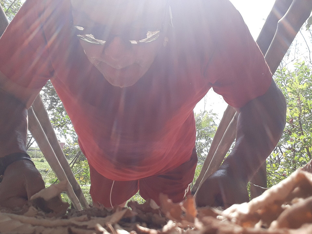 Parque Engordadouro-容迪亚伊必去景点