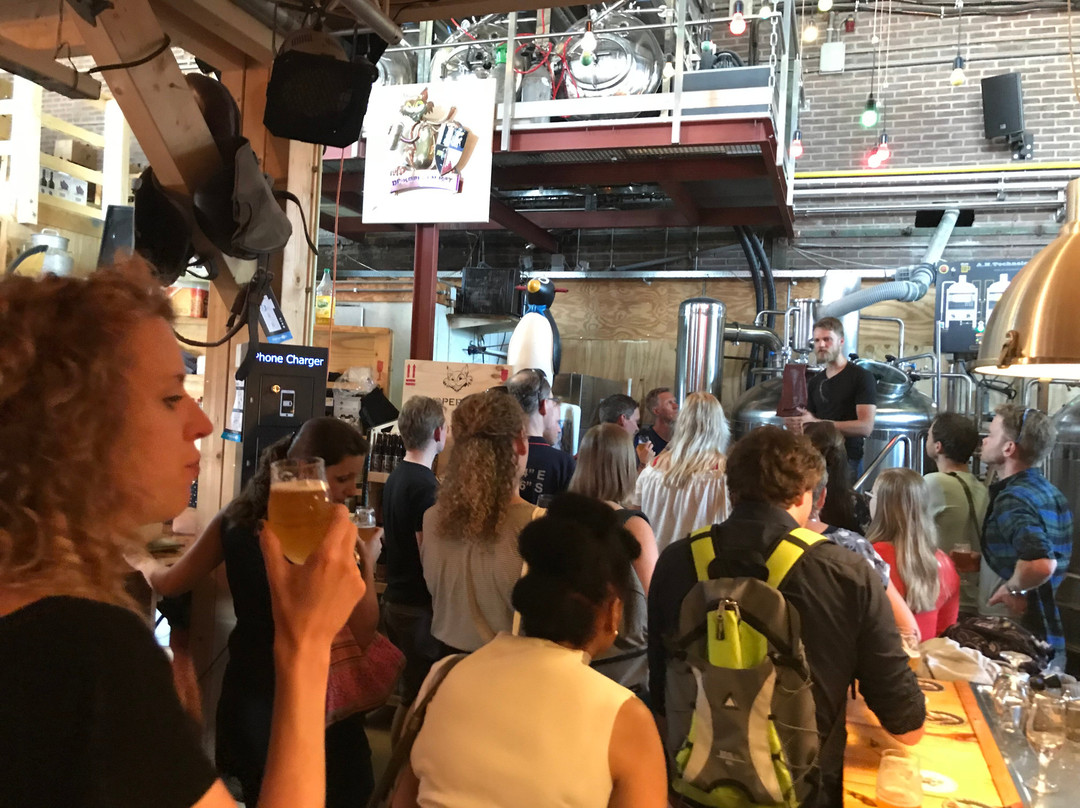 Delftse Stadsbrouwerij De Koperen Kat-代尔夫特必去景点