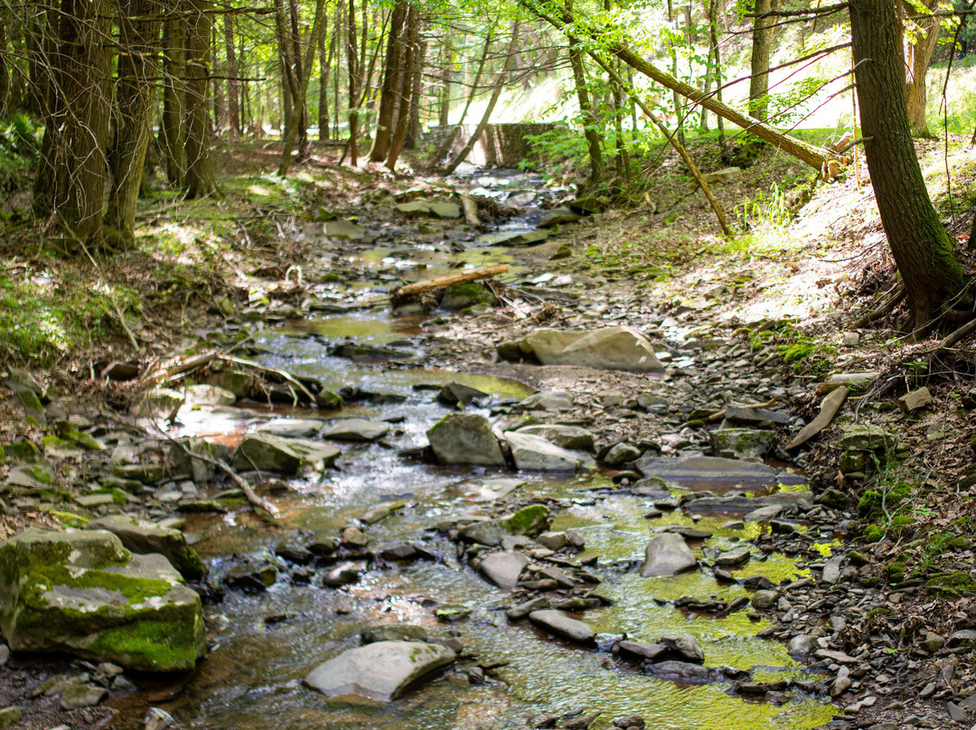 Lost River State Park景点图片