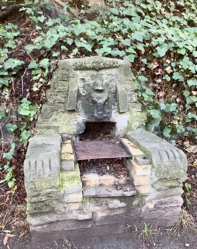 Wildcat Canyon Regional Park-列治文必去景点