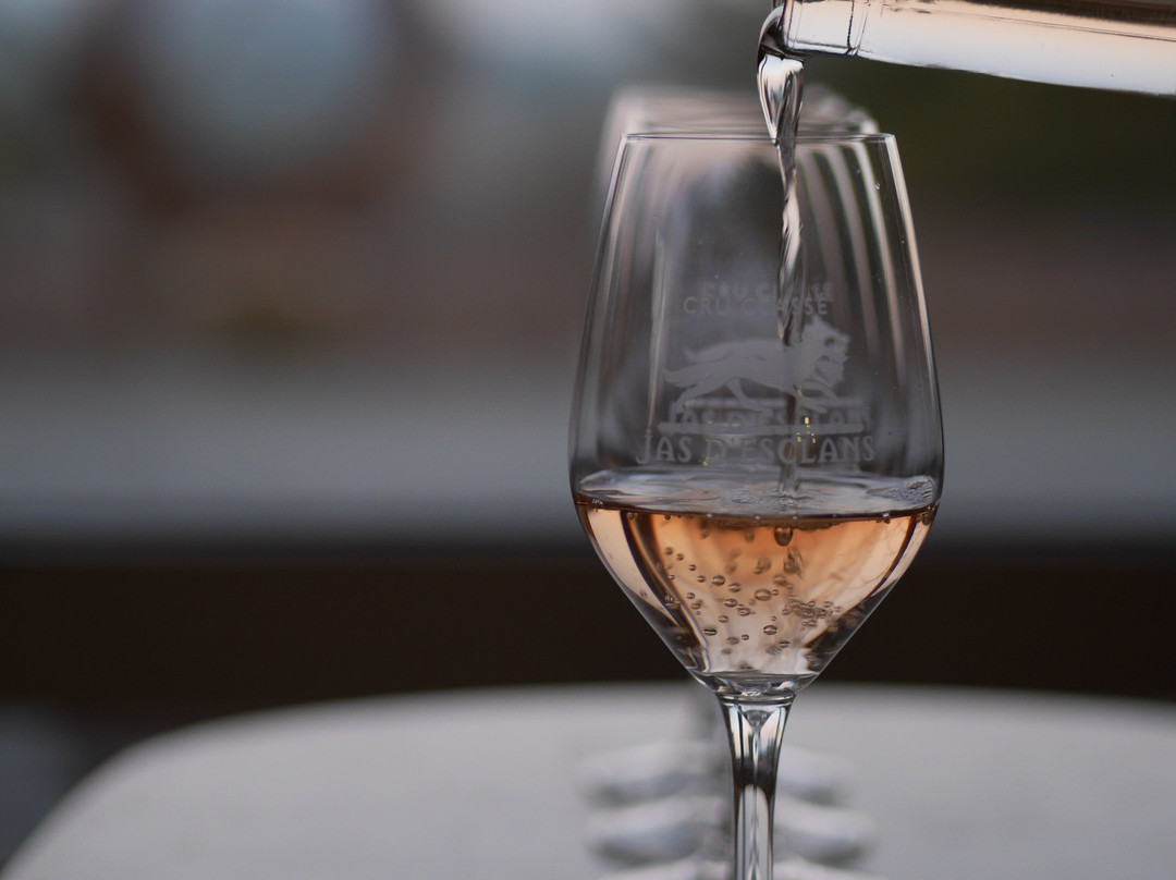 Domaine Du Jas d'Esclans景点图片