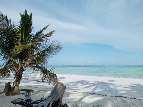 Ndame Beach Lodge-泳池