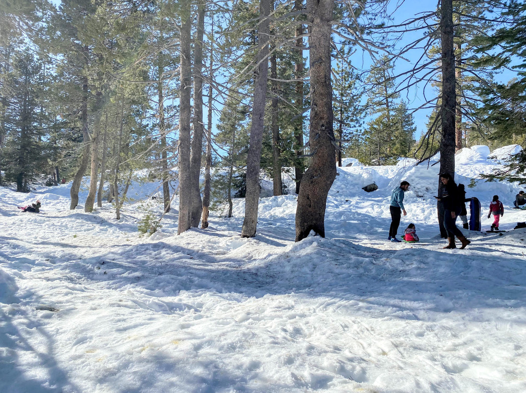 Spicer Sno-park景点图片