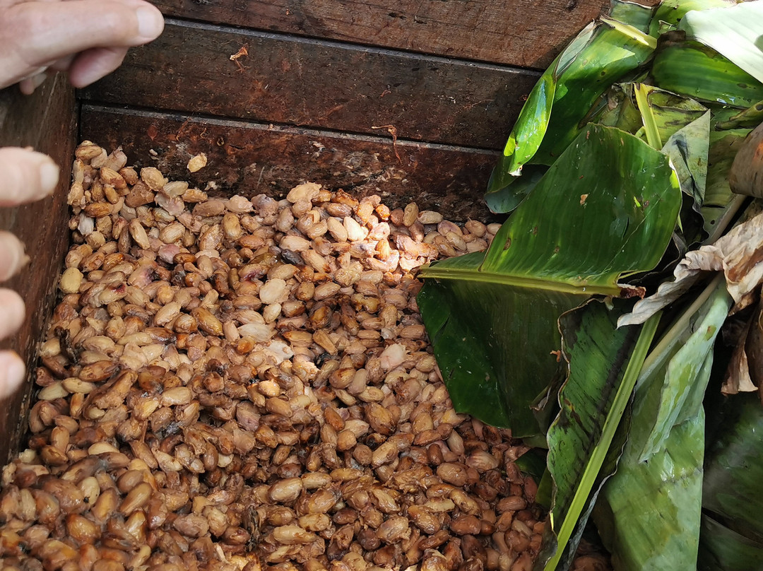 Gwakako-Pointe-Noire必去景点